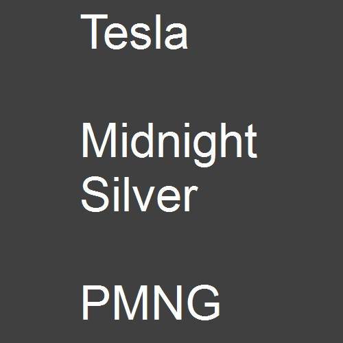 Tesla, Midnight Silver, PMNG.